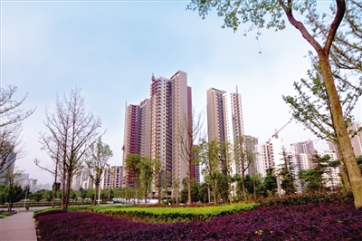 鲁能星城5街区本月即将交房。