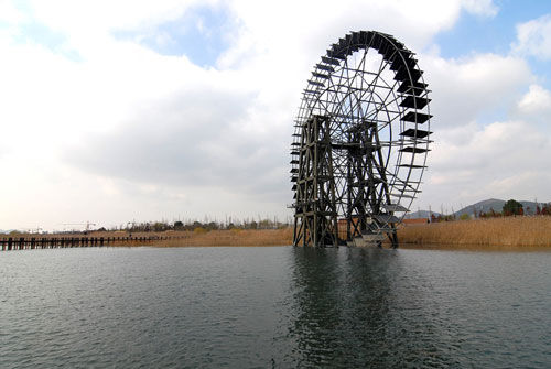 太湖湿地公园实景