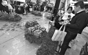 房地产市场愈发细分 生态地产方兴未艾