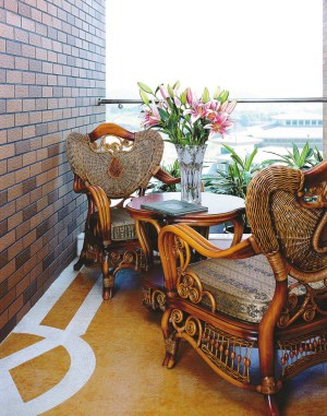 藤木家具 因环保而流行（图）