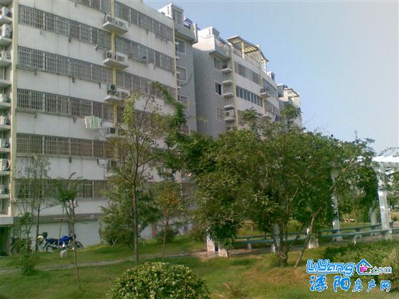 小区图